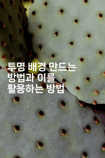 투명 배경 만드는 방법과 이를 활용하는 방법
2-킴치