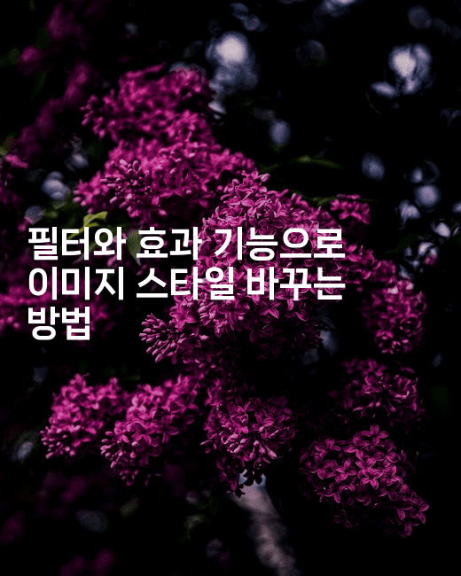 필터와 효과 기능으로 이미지 스타일 바꾸는 방법
2-킴치