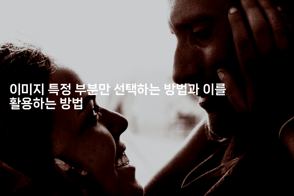 이미지 특정 부분만 선택하는 방법과 이를 활용하는 방법