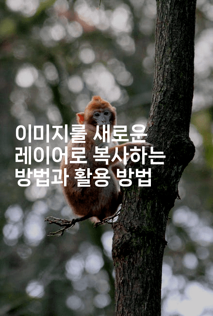 이미지를 새로운 레이어로 복사하는 방법과 활용 방법