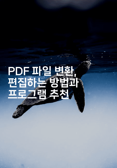PDF 파일 변환, 편집하는 방법과 프로그램 추천
-킴치