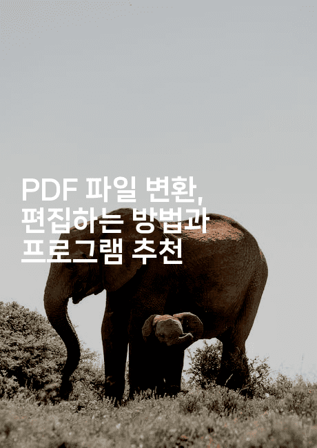 PDF 파일 변환, 편집하는 방법과 프로그램 추천
2-킴치