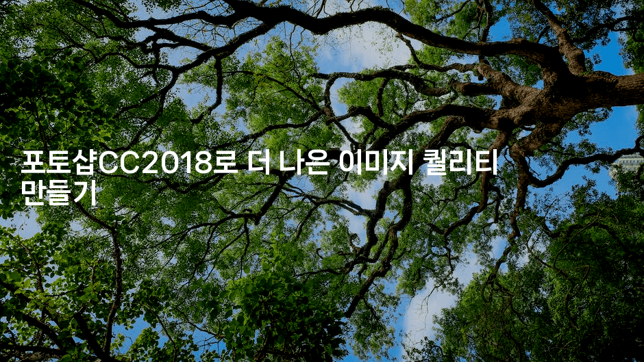 포토샵CC2018로 더 나은 이미지 퀄리티 만들기