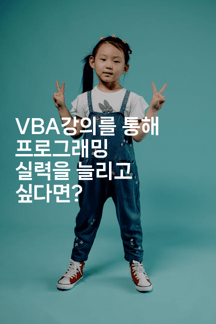 VBA강의를 통해 프로그래밍 실력을 늘리고 싶다면?2-킴치