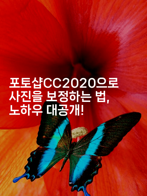 포토샵CC2020으로 사진을 보정하는 법, 노하우 대공개!