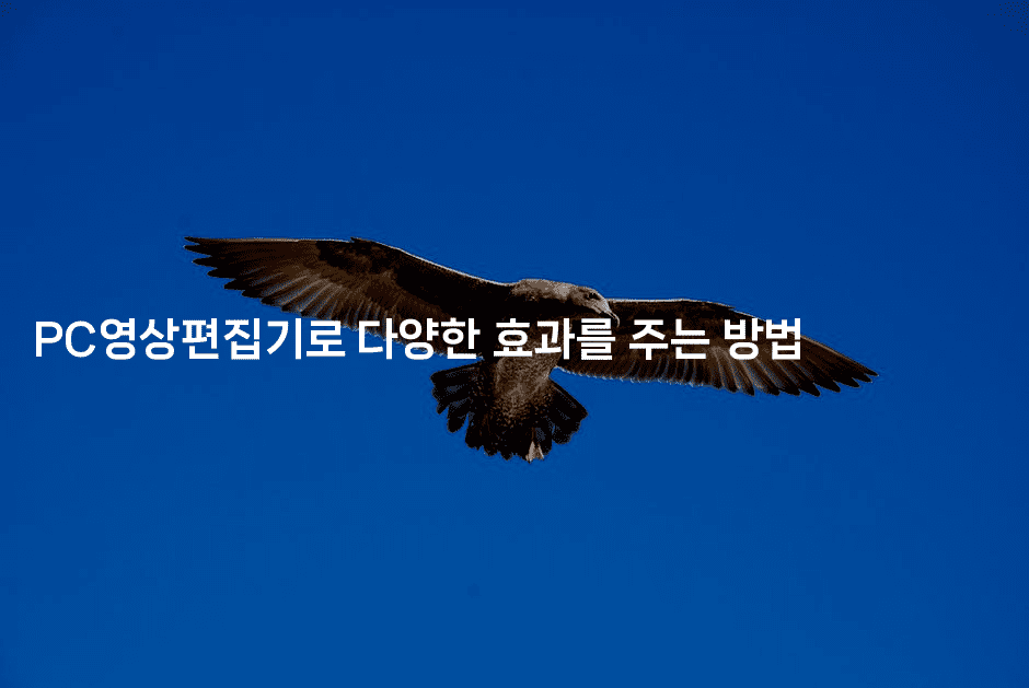 PC영상편집기로 다양한 효과를 주는 방법 -킴치