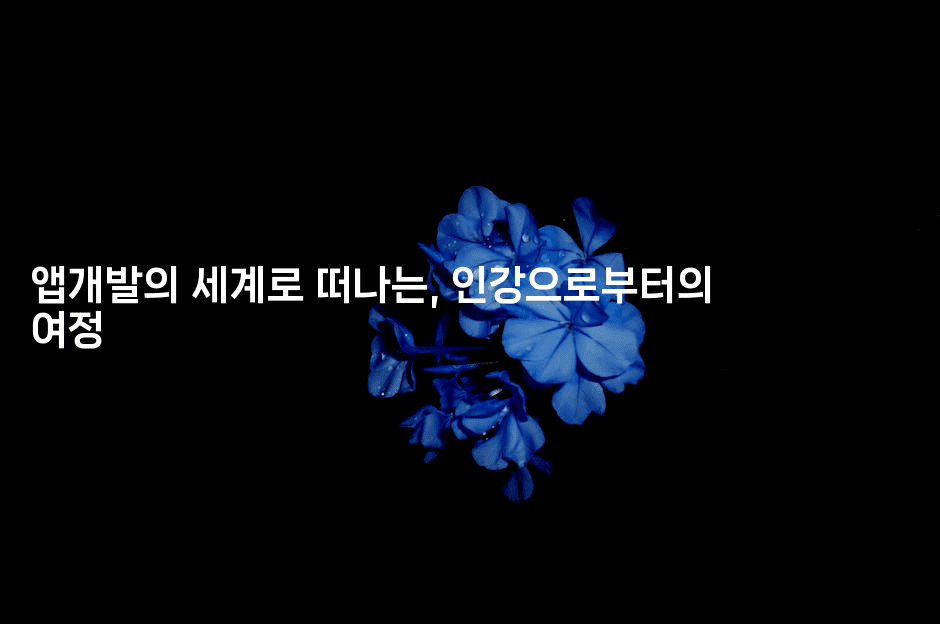 앱개발의 세계로 떠나는, 인강으로부터의 여정