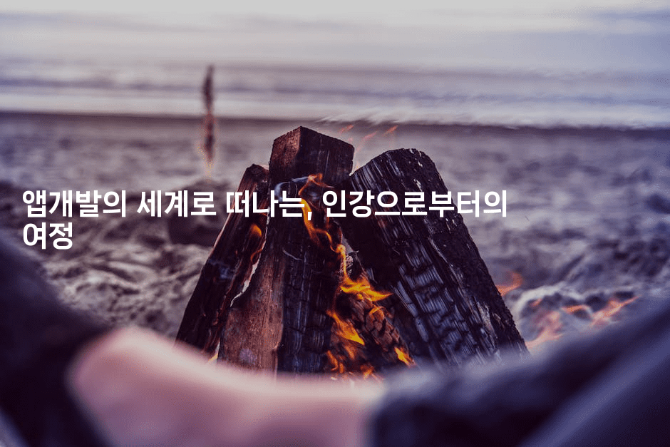 앱개발의 세계로 떠나는, 인강으로부터의 여정2-킴치