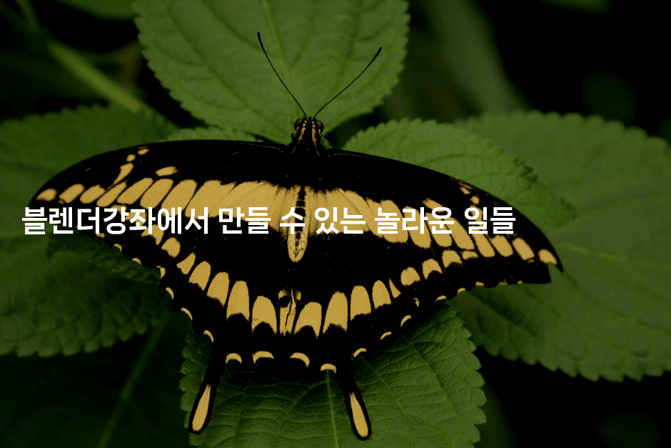 블렌더강좌에서 만들 수 있는 놀라운 일들-킴치