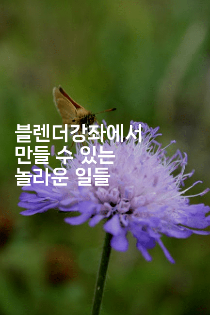 블렌더강좌에서 만들 수 있는 놀라운 일들2-킴치