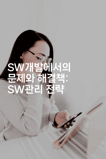 SW개발에서의 문제와 해결책: SW관리 전략2-킴치