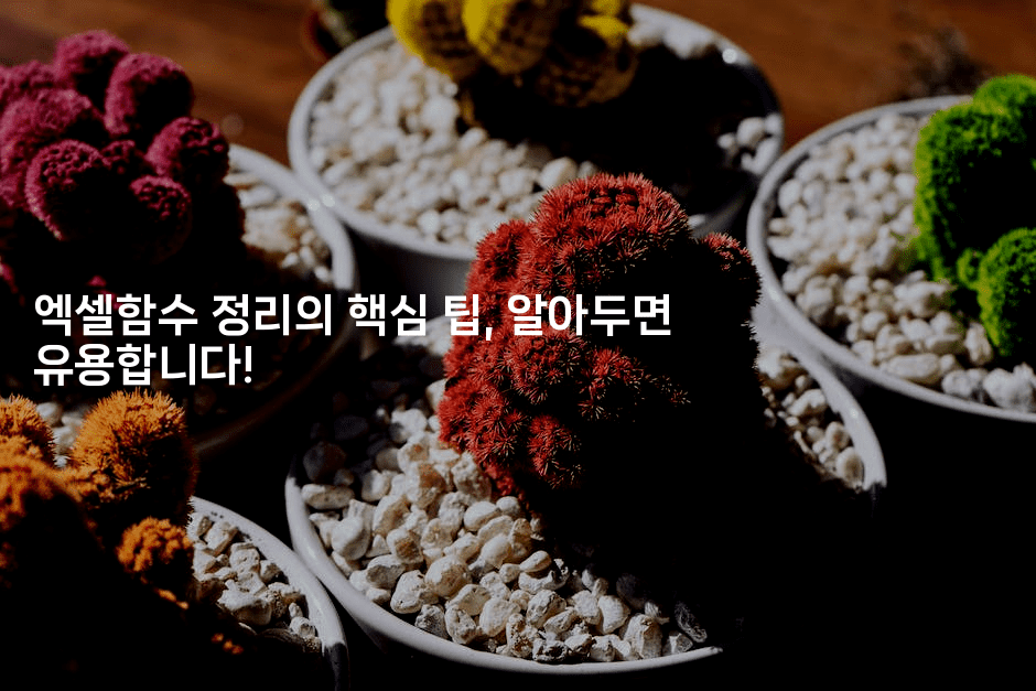 엑셀함수 정리의 핵심 팁, 알아두면 유용합니다!2-킴치