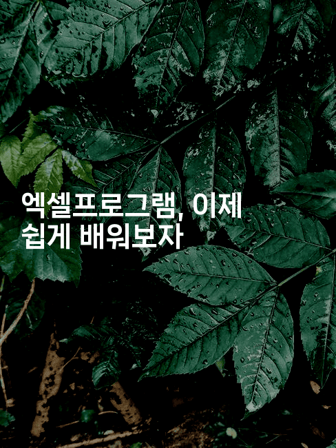 엑셀프로그램, 이제 쉽게 배워보자 -킴치