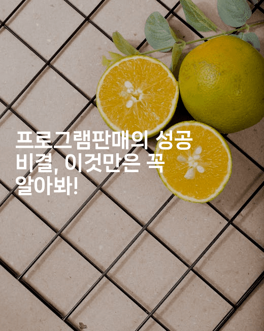 프로그램판매의 성공 비결, 이것만은 꼭 알아봐!2-킴치