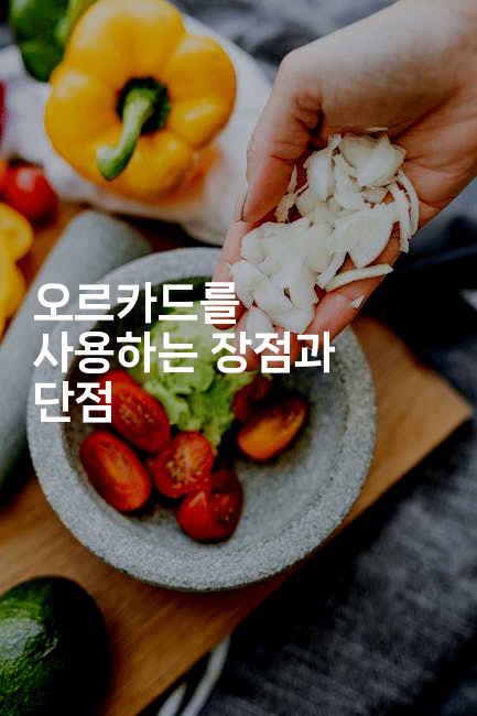 오르카드를 사용하는 장점과 단점