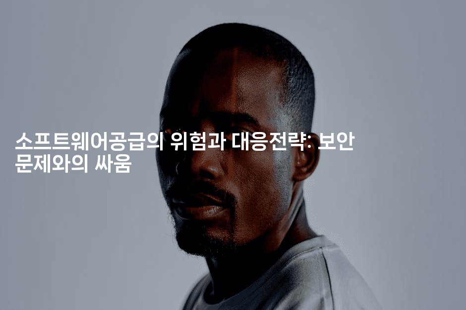 소프트웨어공급의 위험과 대응전략: 보안 문제와의 싸움2-킴치