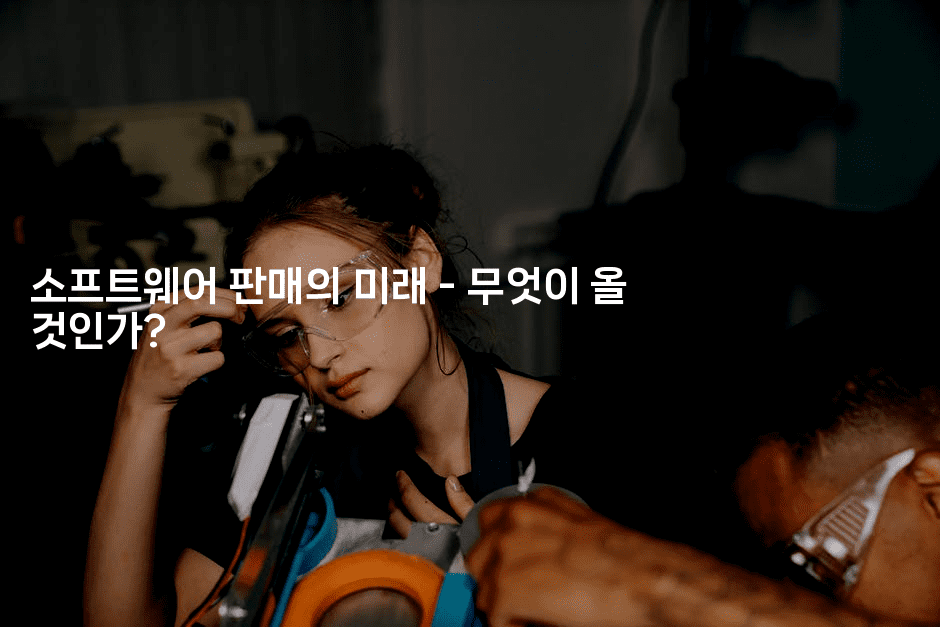 소프트웨어 판매의 미래 - 무엇이 올 것인가? -킴치