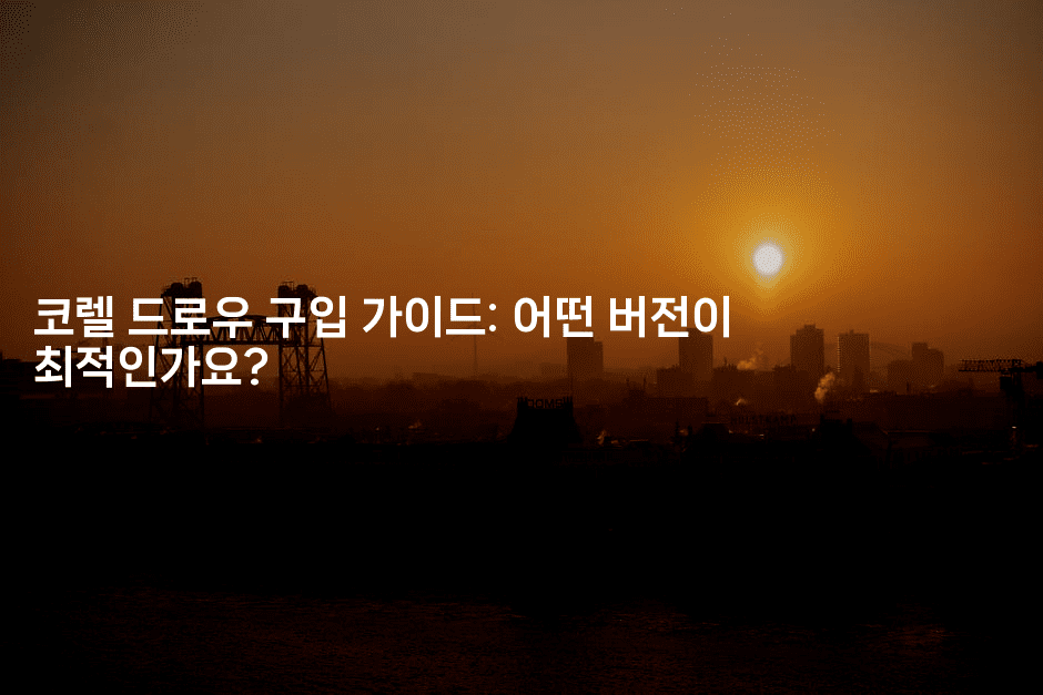 코렐 드로우 구입 가이드: 어떤 버전이 최적인가요?