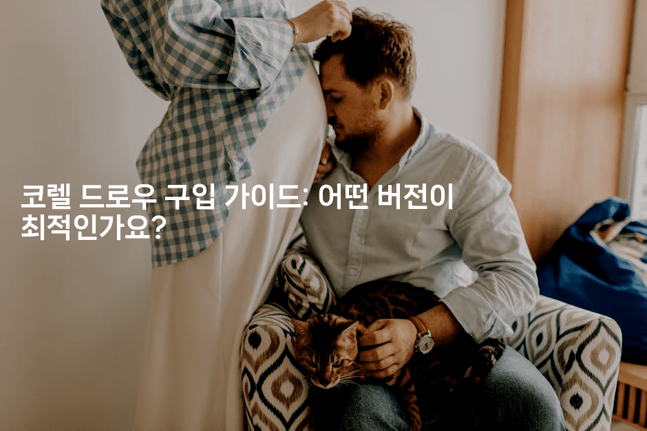 코렐 드로우 구입 가이드: 어떤 버전이 최적인가요?2-킴치