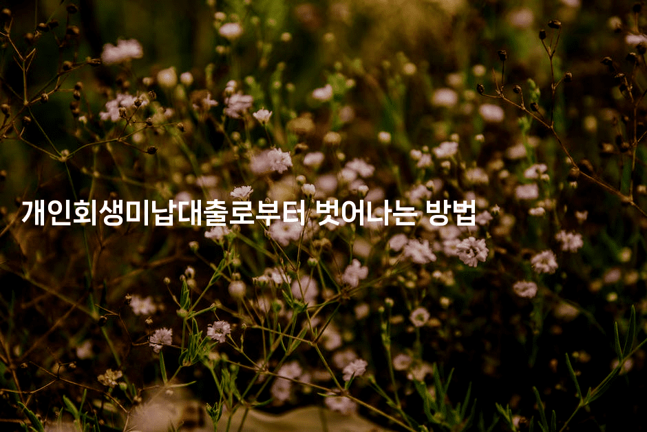 개인회생미납대출로부터 벗어나는 방법