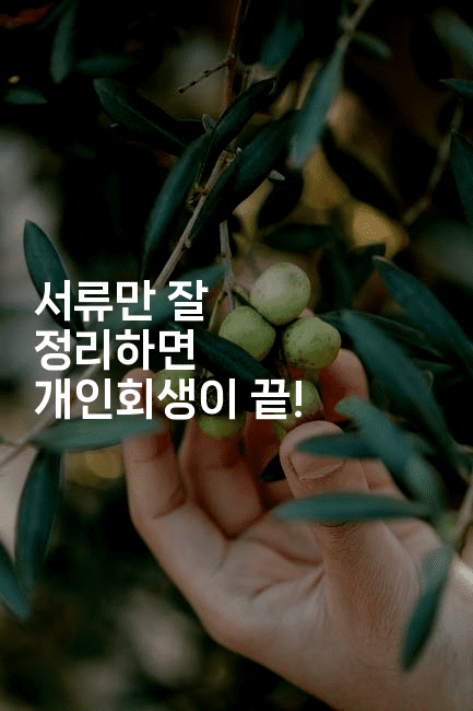 서류만 잘 정리하면 개인회생이 끝!