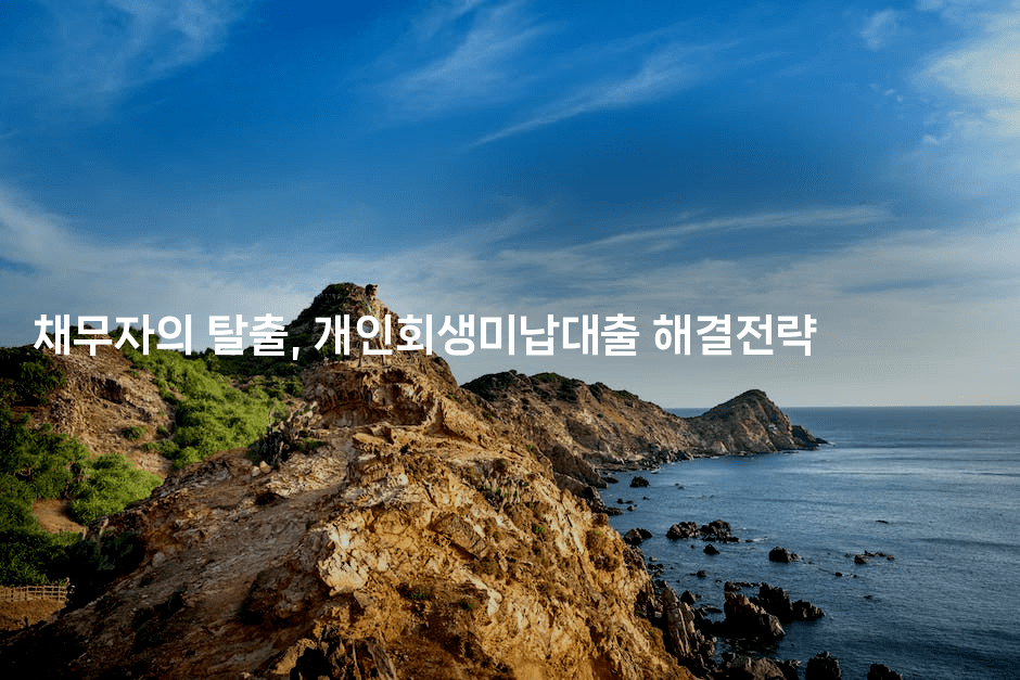 채무자의 탈출, 개인회생미납대출 해결전략-킴치