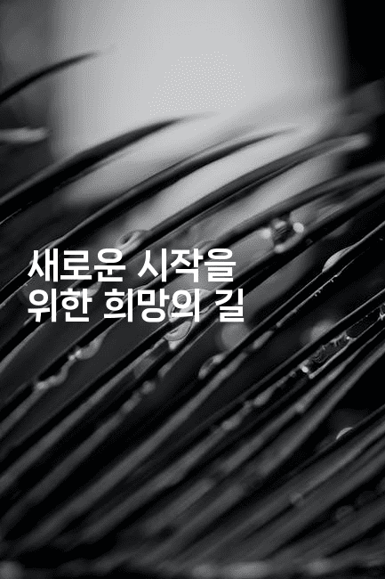 새로운 시작을 위한 희망의 길-킴치