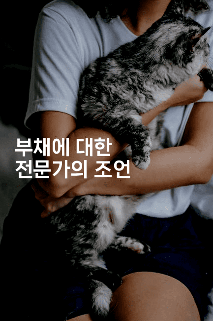 부채에 대한 전문가의 조언-킴치