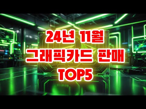 24년 11월 그래픽카드 판매 순위 TOP5