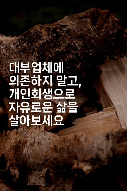 대부업체에 의존하지 말고, 개인회생으로 자유로운 삶을 살아보세요-킴치