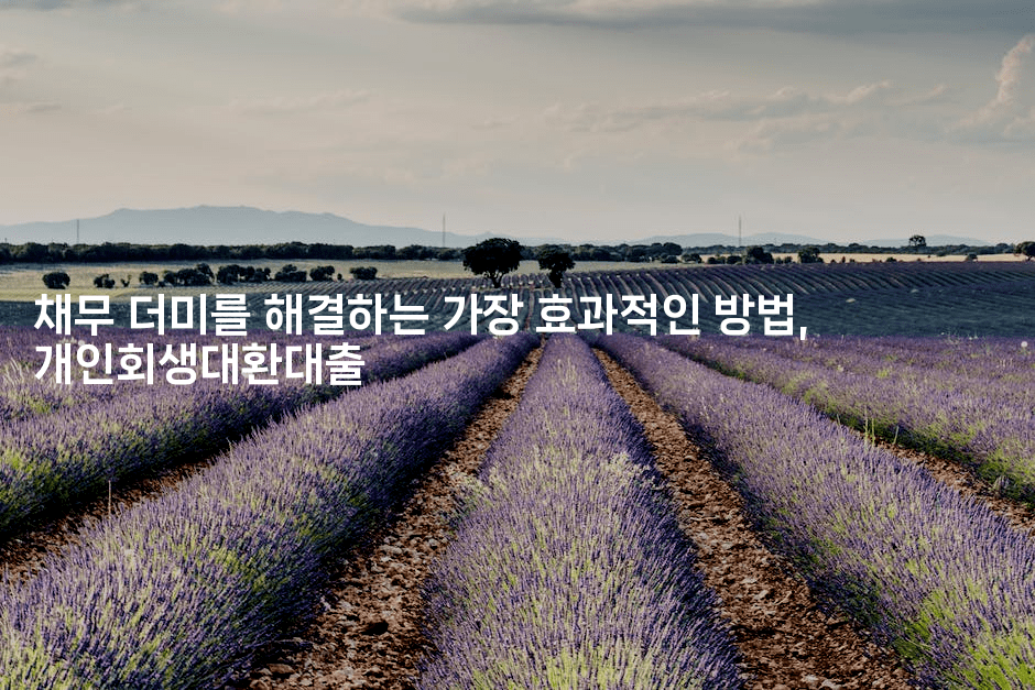 채무 더미를 해결하는 가장 효과적인 방법, 개인회생대환대출-킴치